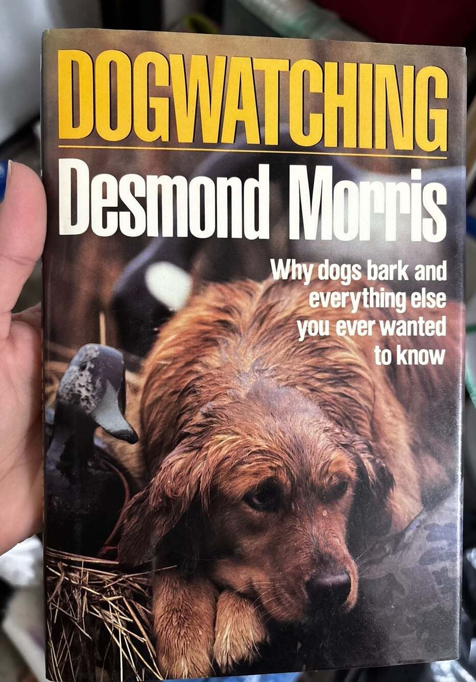 Dogwatching by Morris, Desmond: Like New Hardcover (1987) First Edition.